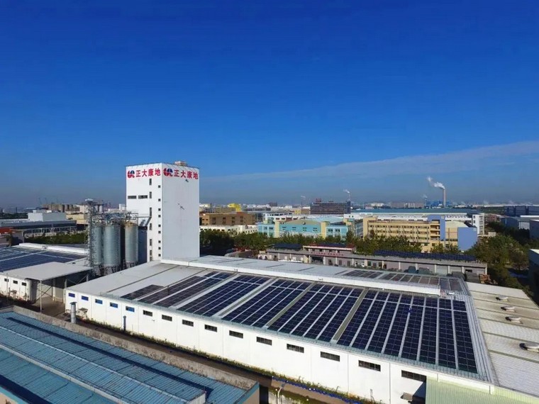 低碳新能源有什么，什么是低碳清潔新能源